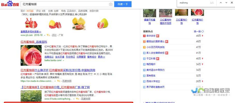 百度快照劫持：威胁网站排名的潜在风险及应对策略